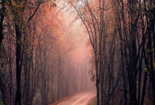 同花顺资金不准