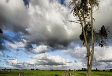 000859今日资金流向