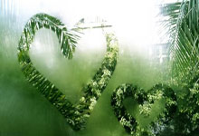 石家庄无抵押贷款公司